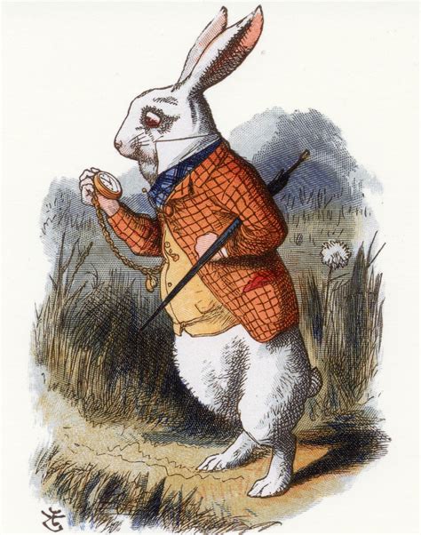 Alices Adventures In Wonderland The White Rabbit See Description