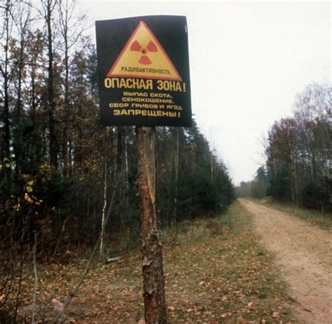 Beispielsweise wird luft durch radioaktive einwirkung elektrisch aufgeladen. Radioaktivität: Bäume in Tschernobyl mutieren durch ...