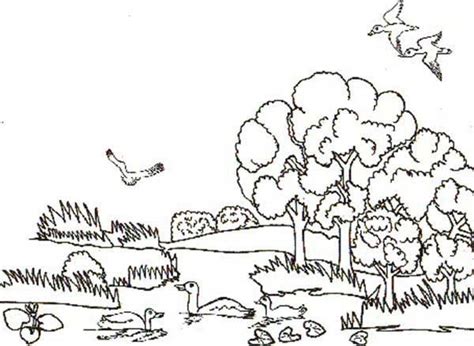 Free Habitat Coloring Pages