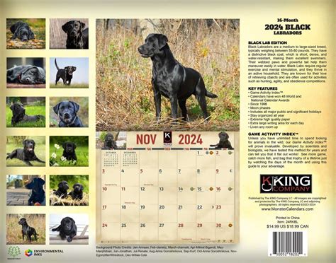 2024 Black Labrador Dog Wall Calendar The King Company