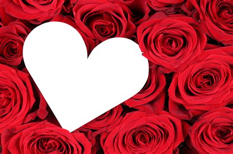 Bilder herz rot rosen blumen vorlage grußkarte weißer 3840x2400. Desktop Hintergrundbilder Herz Rot Rosen Blumen Vorlage ...