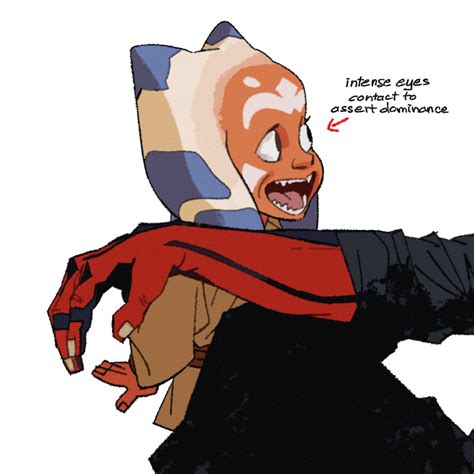 Pin By Ahsoka Skywalker On Star Wars In 2020 Star Wars Humor Star