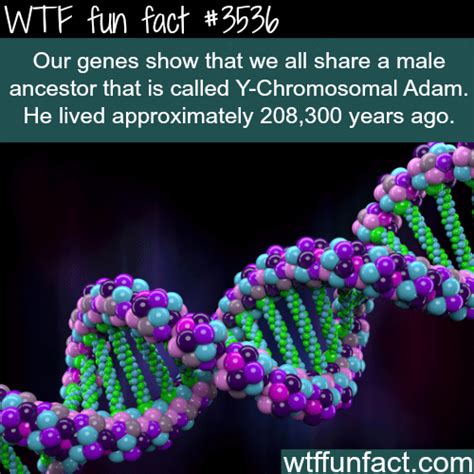 Wtf Facts Page 882 Of 1304 Funny Interesting And Weird Facts