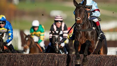 today s arkle novice chase betting preview latest runners riders odds and trainer quotes for