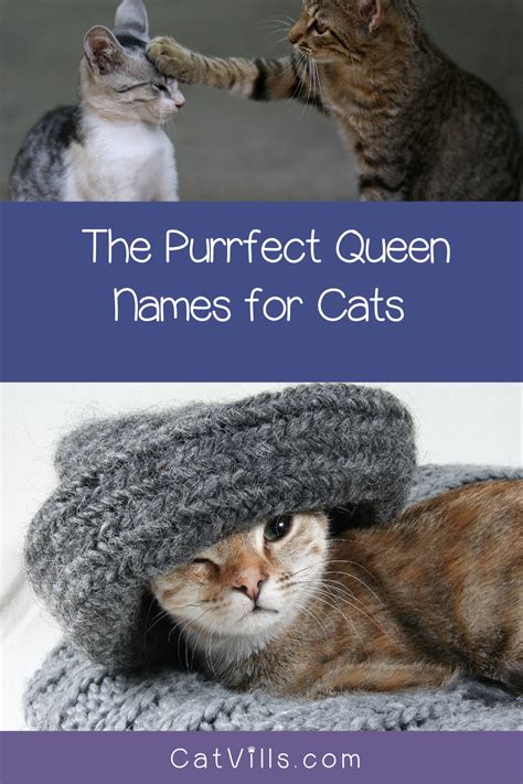 According to world population review, there are 21 countries worldwide where spanish is spanish cat names for males. Pin on Cat Names