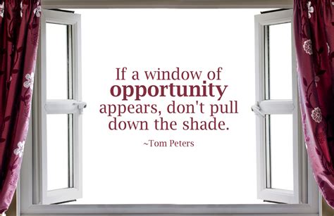 Quote Window Of Opportunity By Rabidbribri On Deviantart