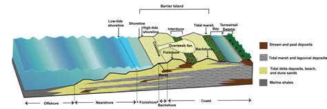 Chapter 5 Stratigraphy The Story Of Earth