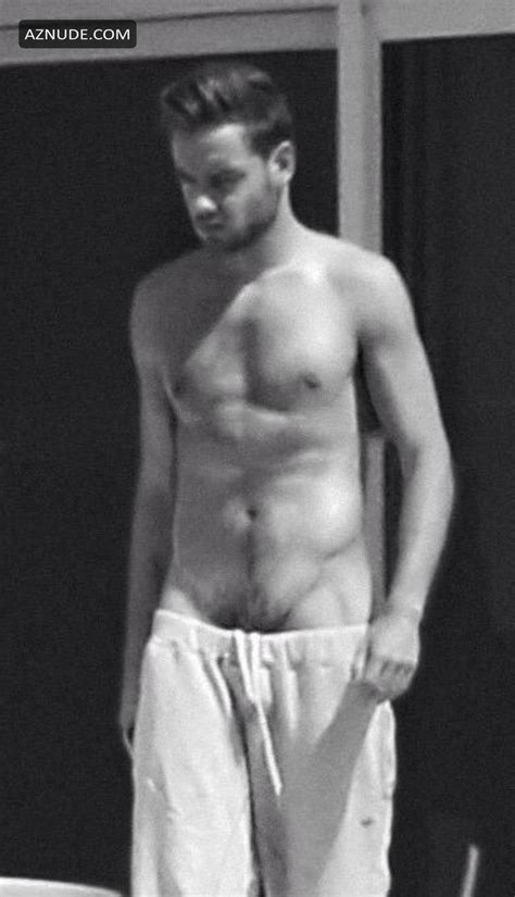 Liam Payne Nude And Sexy Photo Collection Aznude Men