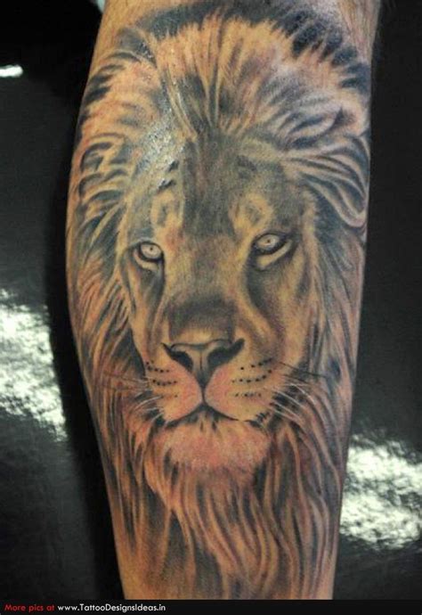Lion Tattoos Is Place For Lion Tattoos And Other Tattoo