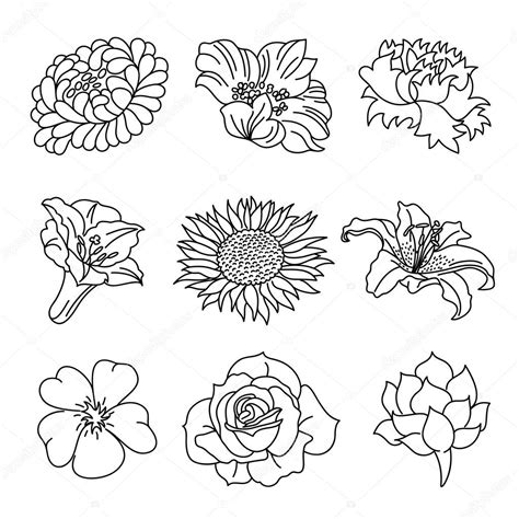 How to draw many types of flowers easy. Tipos De Flores Para Desenhar - MMOD