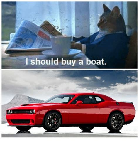 I Should Buy A Boat Boat Meme On Meme