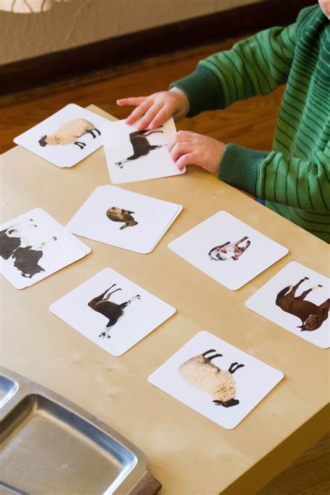 Picture-to-Picture Matching for Montessori Toddlers