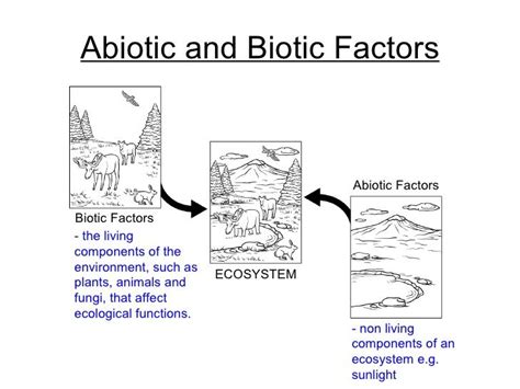 Abiotic factors such as temperature and rainfall vary based mainly on latitude and elevation. ecology biotic and abiotic factors worksheet - Google ...