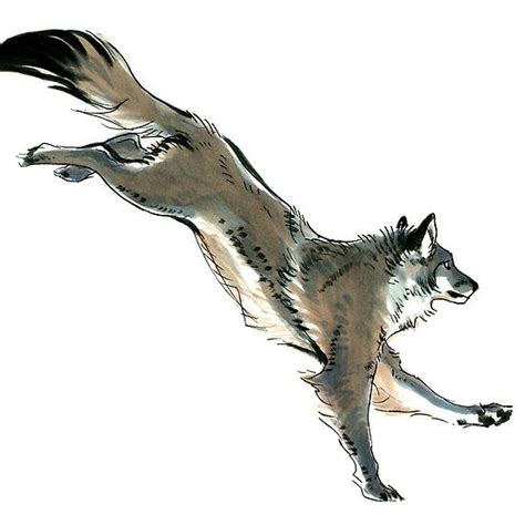 Running Wolf Sketch Wolf Sketch Running Art Wolf Running