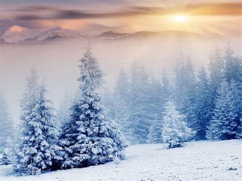 🔥 26 Beautiful Winter Wonderland Wallpapers Wallpapersafari