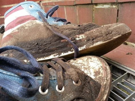 Poop On 93 Percent Of Shoes Research Reveals