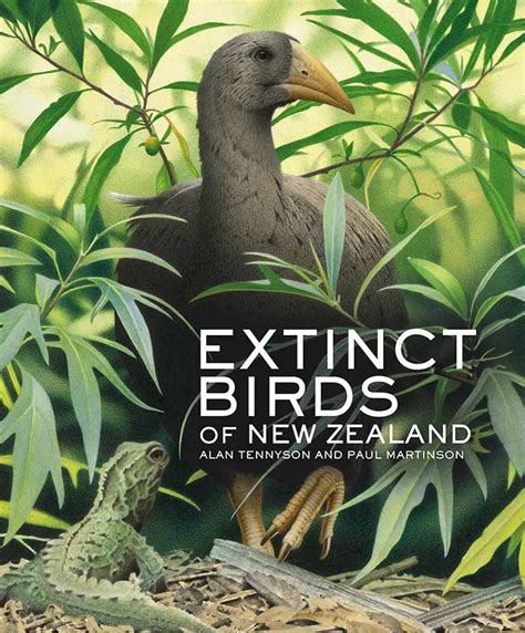 Extinct Birds Of New Zealand Te Papa