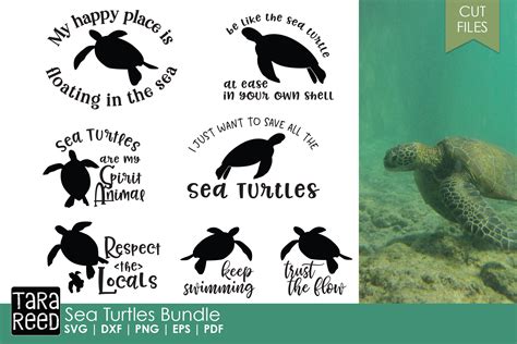 Sea Turtles - Sea Turtle SVG and Cut Files for Crafters (97453) | Cut