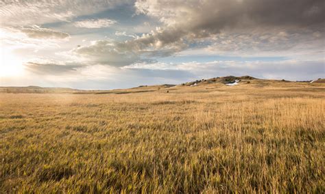 New Project Will Help Improve 1 Million Acres Of Grasslands To Help