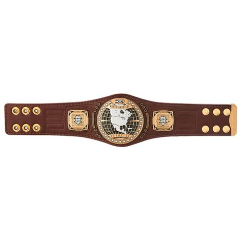 Official Wwe Authentic Nxt North American Championship Mini Replica