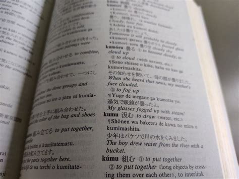 Kodasha Romanized Japanese English Dictionary Hobbies And Toys Books