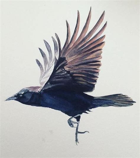 Crow Original Watercolor On Cold Press Paper 75 X 75 Crow