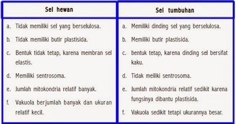 Tabel Perbedaan Antara Sel Hewan Dan Tumbuhan Imagesee