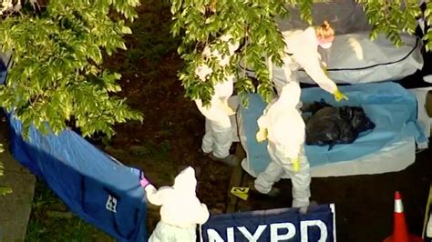 Dismembered Body Found In Trash Bags Outside Bronx Park The New York
