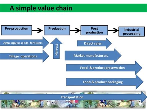 Actors In Agricultural Value Chains