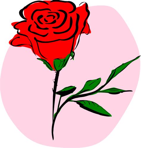 Red Rose Clip Art 114896 Free Svg Download 4 Vector