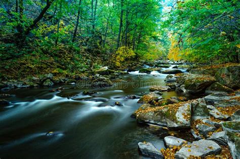 A Small River In An Autumn Landscape With Colorful Leaves Stock Image
