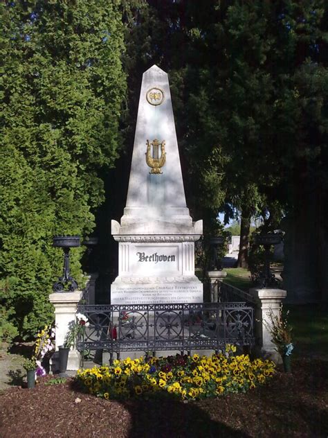 Wiener Zentralfriedhof My Vienna Toursat