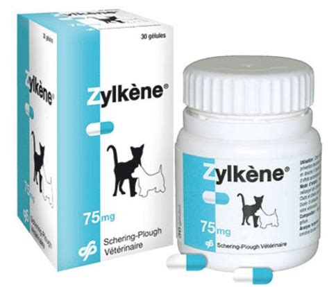 Zylkene capsules contain a palatable, water soluble powder that appeals to both dogs and cats. Zylkène - Catcetera
