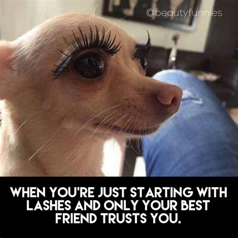 Long Lashes Meme Longer Meme Lashes Mine Looking Wish Were Mean