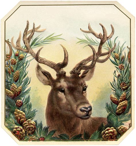 24 Deer Clipart Antlers Too Christmas Images Christmas Pictures