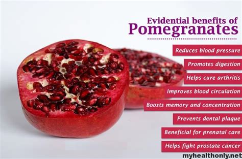 surprising health benefits of pomegranate my health only