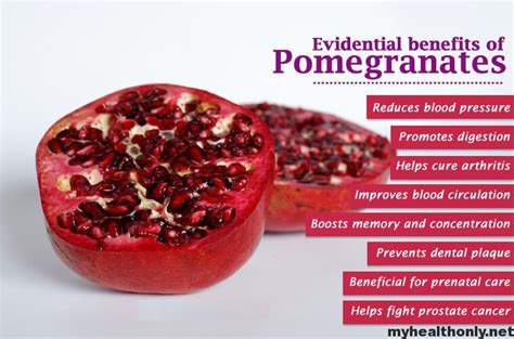 It is a great ingredient a surprising benefit of pomegranate is its ability to regenerate skin cells, hu adds. Surprising Health Benefits of Pomegranate - My Health Only