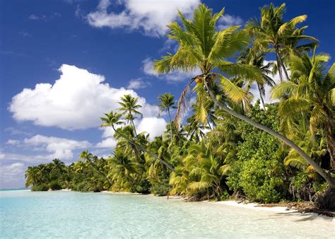 Full Day Lagoon Cruise The Cook Islands Audley Travel