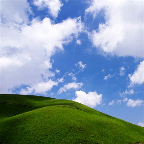 Green Grass Blue Sky Ipad Wallpaper