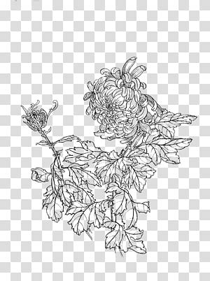 Flowering Plant Sketch Artwork Gongbi U Du Cfu B Chrysanthemum Chinese Painting