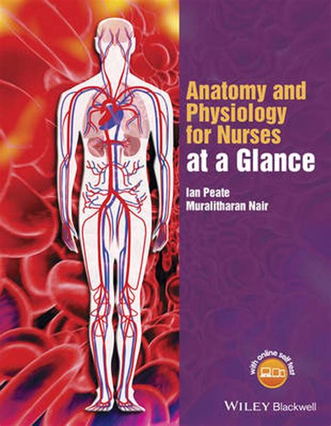 Anatomy And Physiology For Nurses At A Glance By Ian Peate Paperback