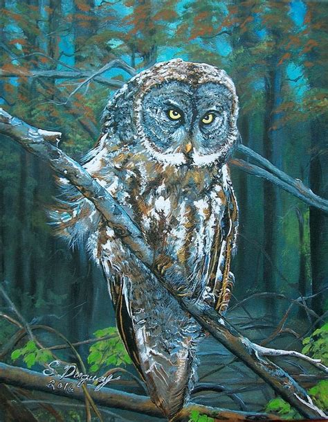 Great Grey Owl Painting By Sharon Duguay Fine Art America