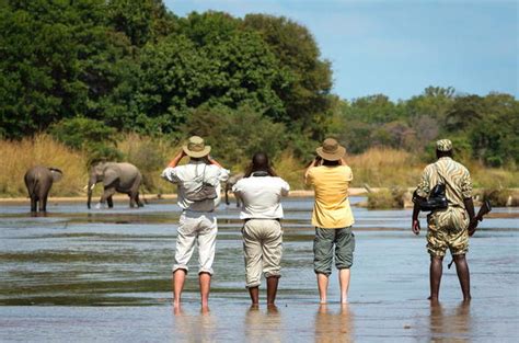 Zambia South Luangwa Safari African Safari Vacation Packages
