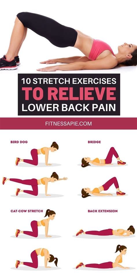 10 Stretch Exercises That Will Help You Relieve Lower Back Pain Artofit