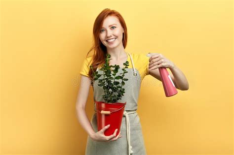 Positive Garderner Takes Care Of Flowers Stock Photo Image Of Female