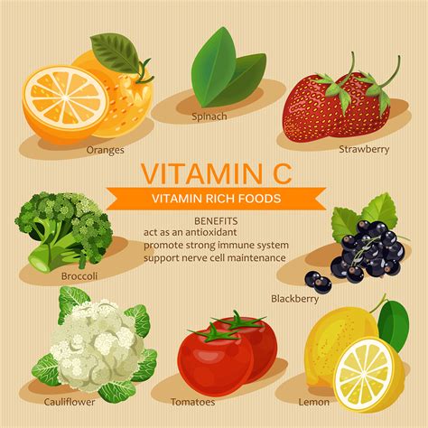 Adults need about 45mg of vitamin c per day and any excess amount (above 200mg) is excreted. วิตามินซีมีประโยชน์กับกระดูกและช่วยต่อต้านโรคกระดูกพรุน ...