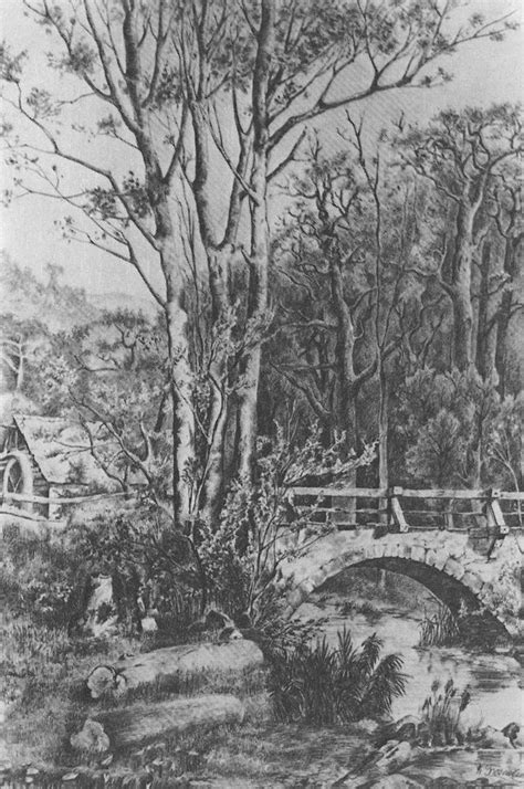 Mill Near The Forest Creek Konstantin Bogaevsky Landscape Drawings