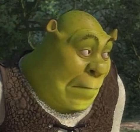 Bored Shrek Shrek Shrek Funny Shrek Memes Shrek