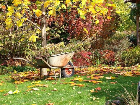 6 Gardening Tasks To Prepare For Autumn Endeavour Homes