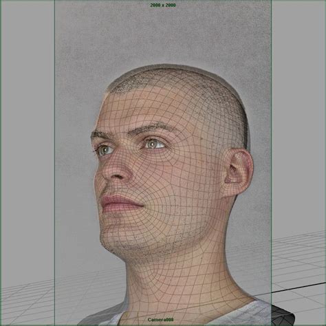 Crossing The Uncanny Valley Wip Cgfeedback The Uncanny Character
